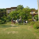 나문재관광농원 이미지