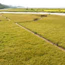 순천만 우리 이미지