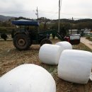 상강축사 이미지