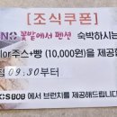 다이노 꽃밭에서 이미지