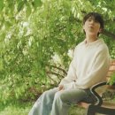 봄에 마이데일리