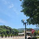[과천]렛츠런파크 서울 경마공원투어 2026년도 리뉴얼 후기