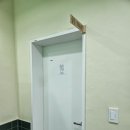 버블독스청주오송점