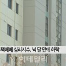 (주)그린이노베이션코리아 이미지