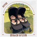 쌍둥이 절충형 유모차 와이업 신생아유모차 사용 후기