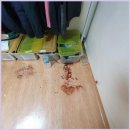 장미장 | 특수청소 고독사청소 꼼꼼하고 믿음직스러운 전문가 서비스 후기