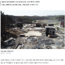 강릉 산불 피해지역에서 빈집 절도범 기승 이미지