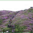 바로툴