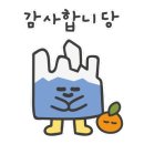 수디자인 이미지