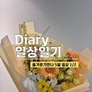 리틀아레나 | 즐거운기만나 5월 일상 (1) 어버이날, 조카 첫만남, 레이저아레나, 친구들 생일파티