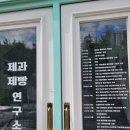 맘모스카센타 | 대구 수성구 케이크 맛집 망고케이크 라부아뜨엘