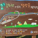 곰취향 가득한 팔랑골 캠핑장 이미지