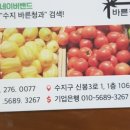 수지청과 이미지