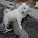 구월농장 이미지