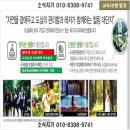 도곡우체국 네이버블로그