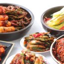 한국발효(주) | 한국을 대표하는 발효 음식 김치 : 김치의 모든 것