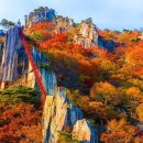 단풍농장 이미지