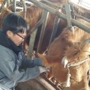 사산축산 이미지