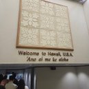 성공렌트카 | 여행] 하와이 7박 9일 신혼여행 #2 Dollar 렌트카 후기 -코스트코 - 하나우마베이 토요일 예약 성공과 방문