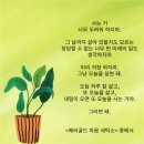 미래세탁소 이미지