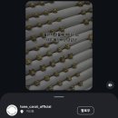 톤앤캐럿