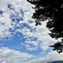 홍현-stay 이미지