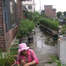 동산약국 이미지