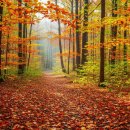 친구여-조용필 이미지