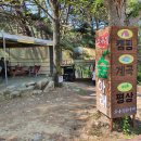 소나무숲아래 이미지