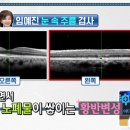 그린쌈밥 네이버블로그