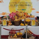 추석맞이 중소과일 소비촉진 캠페인이 열렸던 농협 고양하나로클럽 현장 후기