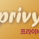 프라이핏