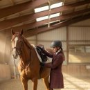 청소년 자신감향상 스피치B | 2026경기도, 초·중·고생 1만4천 명 승마체험 지원! 학폭 피해 청소년도 전액 지원