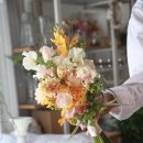 까멜리아 플라워 이미지