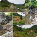 8949부동산공인중개사사무소 이미지