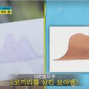 코끼리를삼킨보아