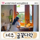 서호동-34 | 제주 서귀포 감성 카페 귤밭 포토존 귤꽃다락 가을 여행