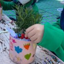 숲리라유치원 이미지