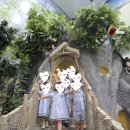 파인슐레 국제 어학원 이미지