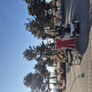 수목원 | 세종수목원 방문 후기-날씨 추운 날에도 좋은 세종 실내·실외 힐링 명소