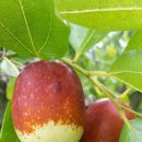 은별농장 이미지