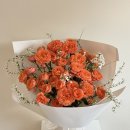 스튜디오로즈데이