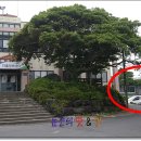 제주 서귀포 알토산마을 티스토리
