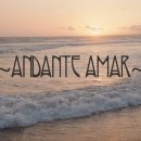 David Lanz 데이빗 란쯔 ⑥ - Andante Amar. Rhapsody in Twilight. etc 10곡 이미지