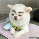 송지시장 티스토리