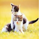 친구야놀자 이미지