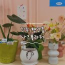 진주 시내 꽃집 나즈플라워 진주 갤러리아 근처 가성비 무인꽃집