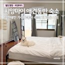 달리애견 | 태국 치앙마이 애견동반 숙소 더 리틀 시리｜님만해민 가성비 후기