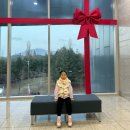 천안시국악관현악단정기공연 | 제87회 천안시충남국악관현악단 정기연주회(11/29,금)