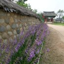 서덕길 효자각 이미지